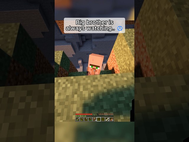 Big brother is watching… 🥶😰 #minecraftmemes #tweening