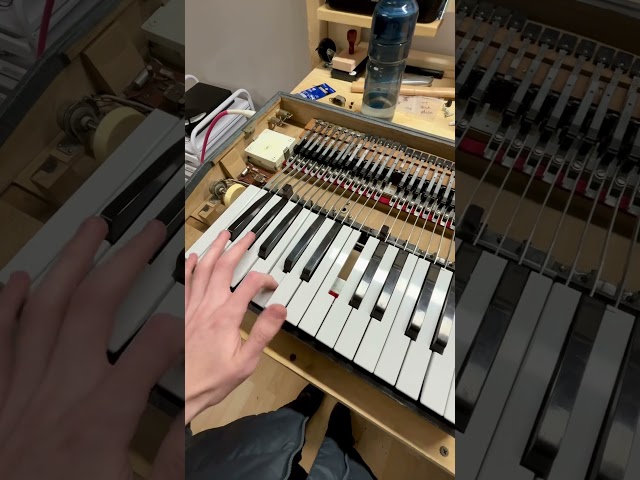 Weltmeister Bassett 2 is finally getting work done! #electricpiano #shorts