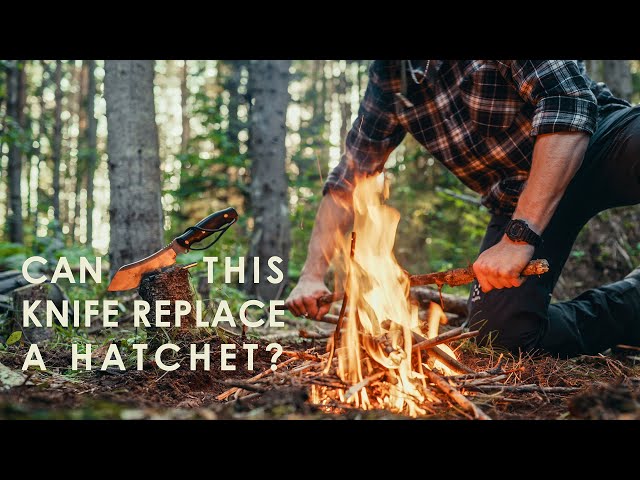 One Day In The Woods - A Bushcrafting Journey
