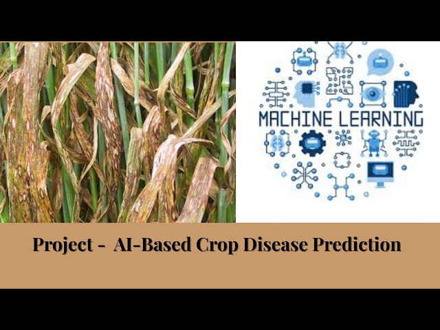 Project-AI-Based Crop Disease Prediction Classification+Random Forest SVM,KNN with Machine Learning