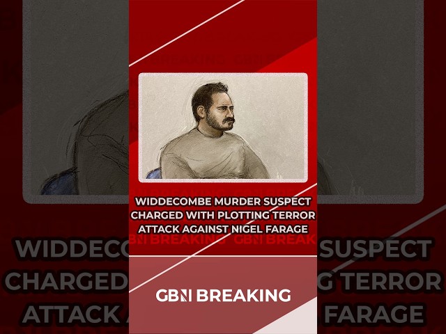 BREAKING: Person alleged to have murdered Ann Widdecombe has been charged with preparing terror acts