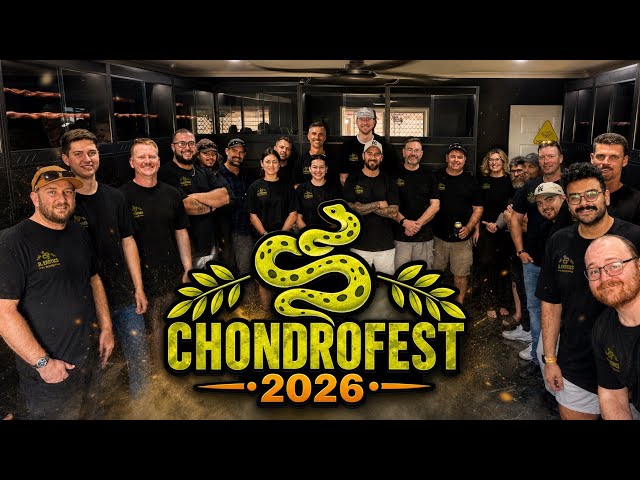 ChondroFest 2026 Australian Green Tree Python Party  