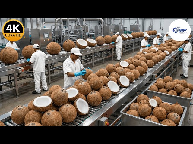 Inside a Modern Coconut Factory: From Hard Shell to Creamy Milk (Full Process)