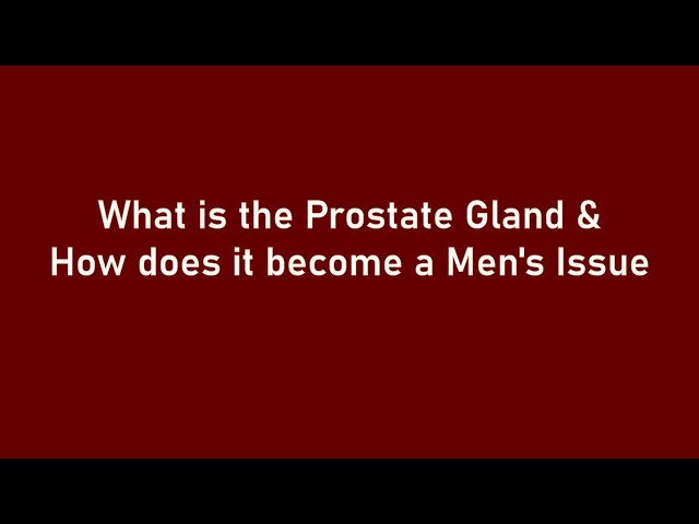 TCM | Traditional Chinese Medicine | The Prostate & Beyond: Men’s Health in Focus