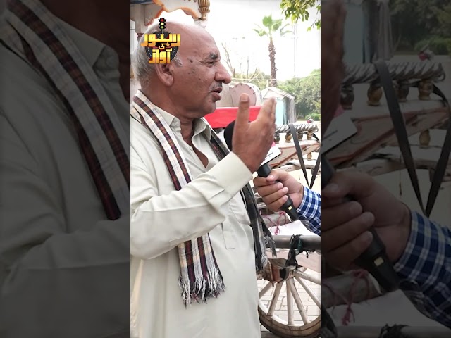 Lakhon Ki Baggi Lahore Me #shorts #lahorekiawaz #foryou #lahoritonga #featured