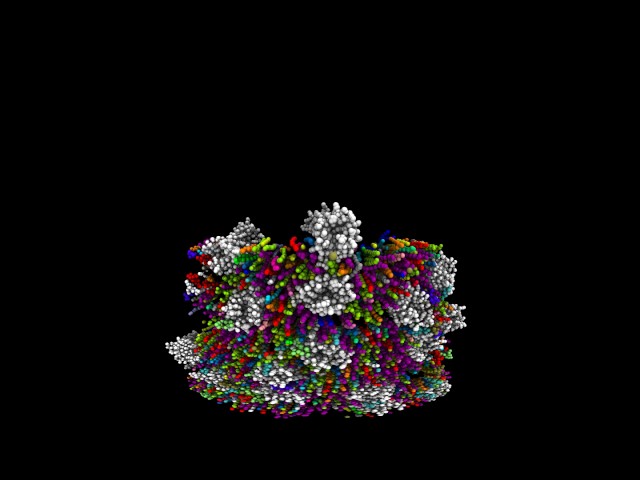 Oligomerization of active opioid receptors in a realistic plasma membrane model