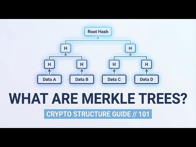 What are Merkle Trees?