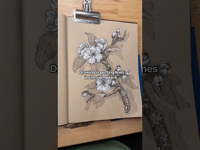 67 minutes of drawing in 12 seconds