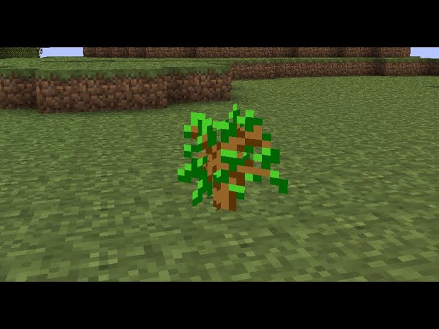 Motivating Shrubs