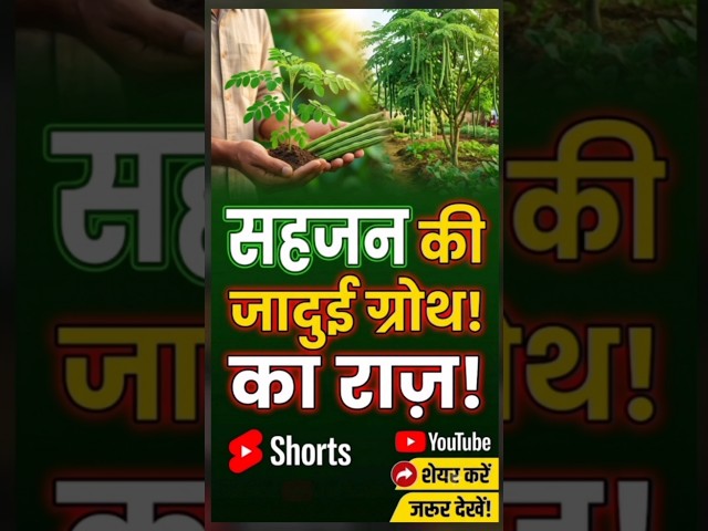 सहजन की ग्रोथ #sahjna #shorts  #viralvideo