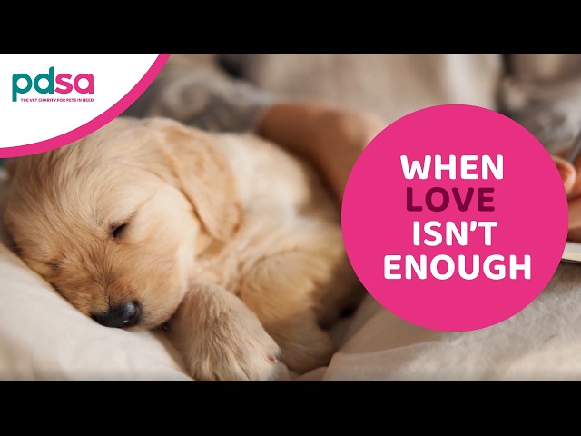 When love isn't enough | Summer Appeal 2026