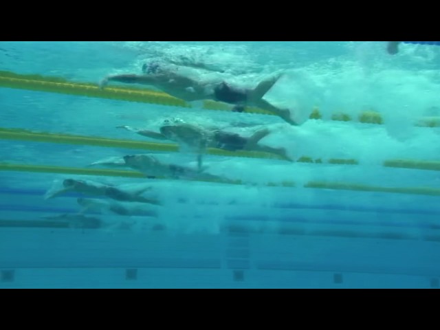 Dressel 100 FR