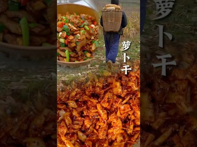 Chinese Traditional Radish Harvesting, Cutting & Cooking with Beef | Village Food