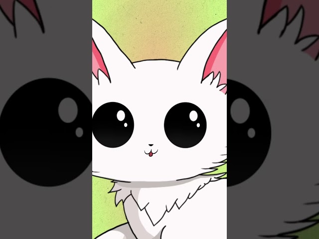 Disaster Cat