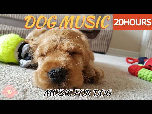 20 HOURS of Deep Sleep Separation Anxiety Music🐶💖Relaxing music for dog🎵Calming Music🐶 healingmate