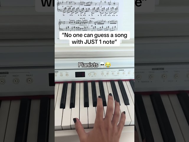 who knows this song on the piano?  #piano
