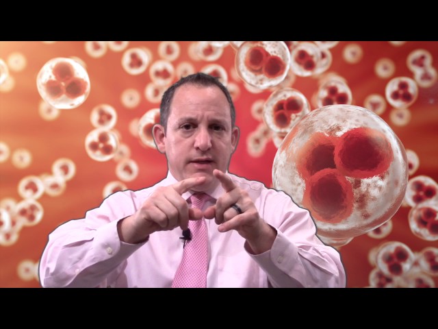 Top 5 Definitions of What's in Amniotic Stem Cell Therapy