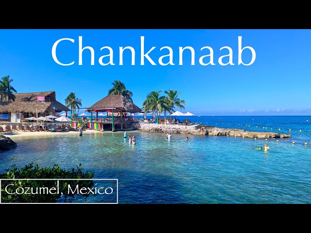 Is This Really Cozumel's Number 1 Attraction? Review of Chankanaab Park: Should You Visit?