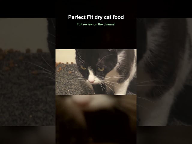 Perfect Fit dry cat food - Zen Cannot Be Stopped