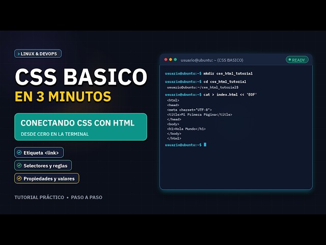 CSS Básico: Cómo Conectarlo a HTML en Terminal | Tutorial Completo