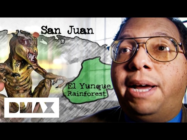 The Disturbing Military History Behind Puerto Rico Paranormal Events | World's Strangest UFO Stories