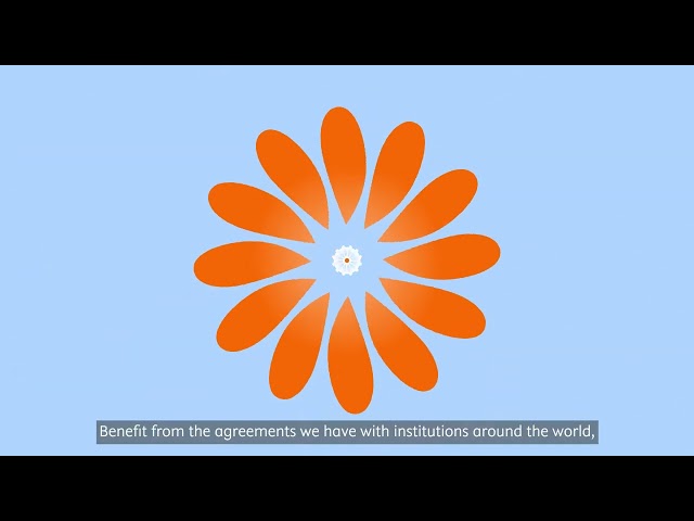 Trusted Quality: Benefit from long-standing experience and receive expert support