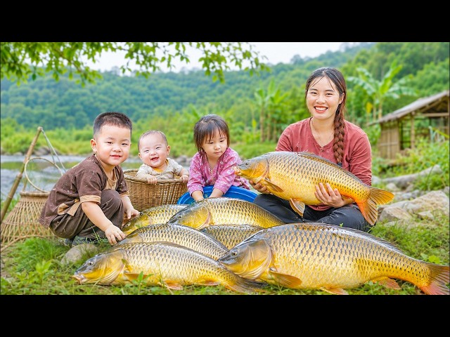 Too Many Giant Fish in a Small Pond | Nonstop Fish Catching | Fishing with Chuc Duong & Her Children
