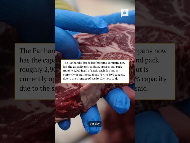 The Texas beef industry had only been slowly rebuilding before screwworm came.#texas #screwworm #tx