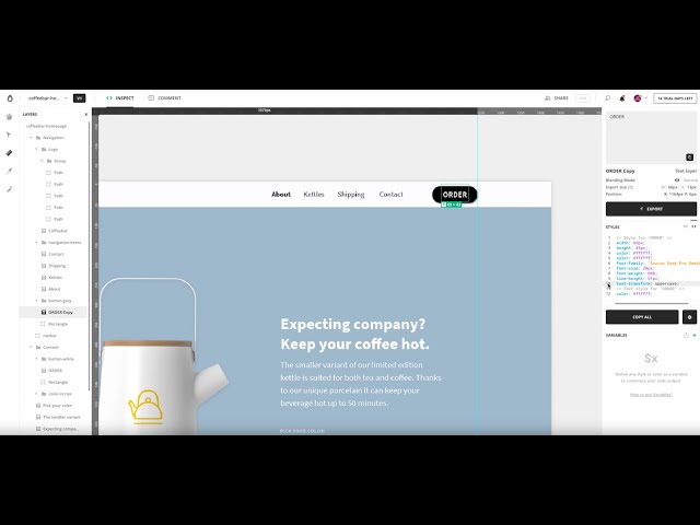 Lesson 5 | Copy CSS Code from Avocode to Style your Website