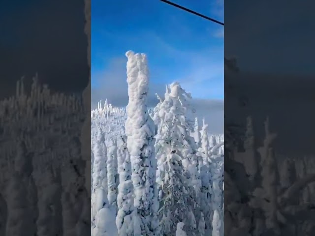 big storm whitefish mountain