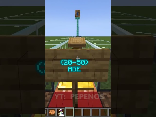 real life in minecraft be like