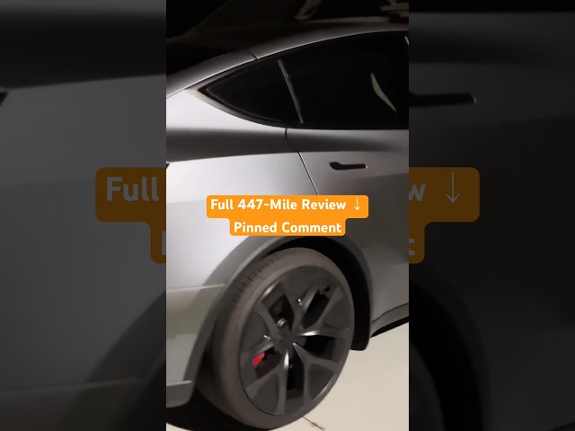 This Tesla Color Even Looks Good at 4AM 🔥