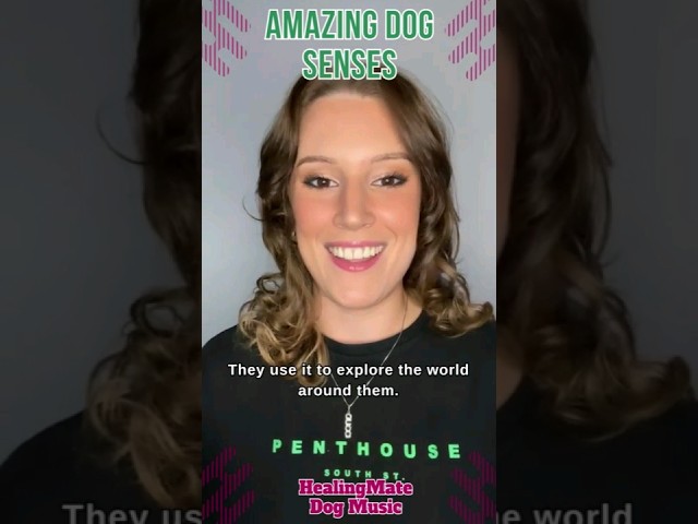 🐶💖Amazing Dog Senses💖🐶