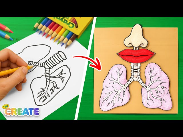 Craft and Learn Body Parts 🫁 🩺 Creative Learning Activities for Kids