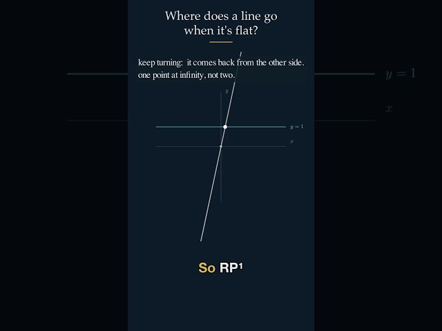 Where does a line go when it's flat? #maths #education #science