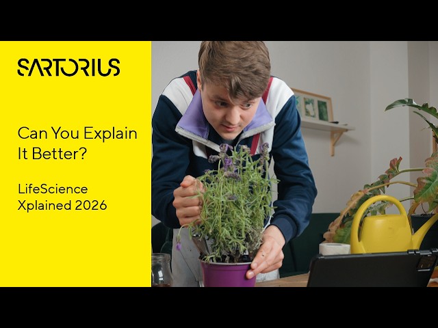 Jungle of Information | Can You Explain It Better? | LSX Award