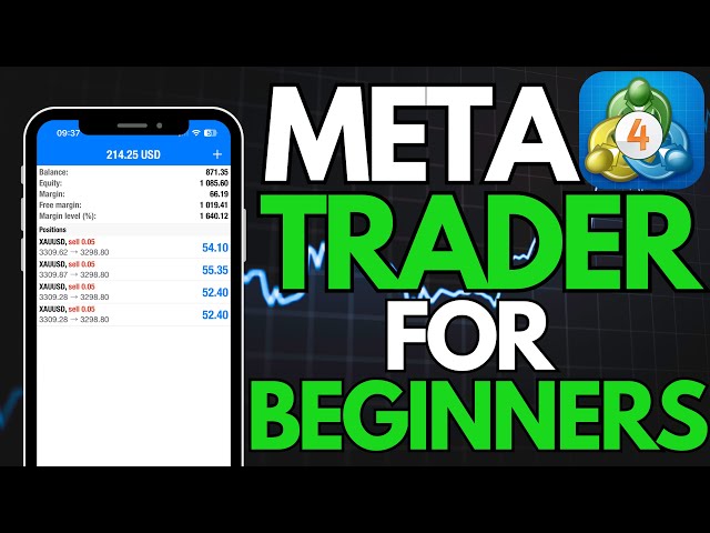 How to use MetaTrader - For Complete Beginners in 2025
