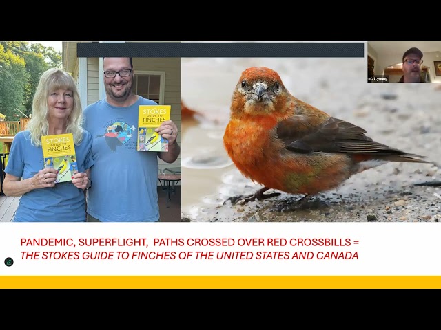 Nature Program Series: Grosbeak Recovery Project & Stokes Guide to Finches with Matt Young
