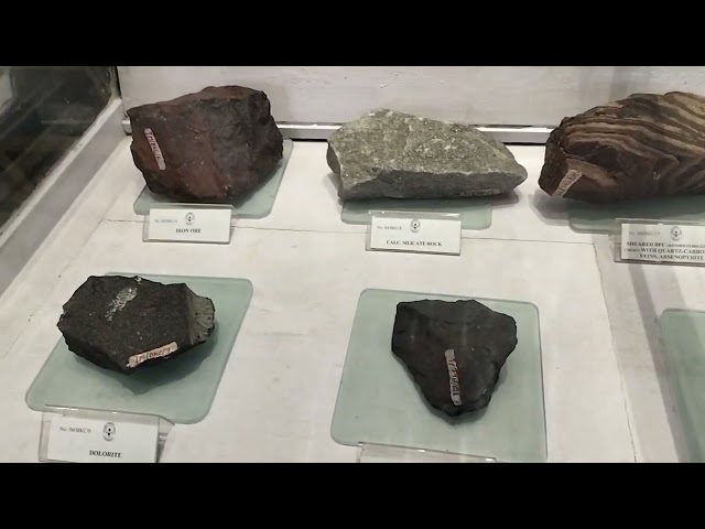 indian museum
