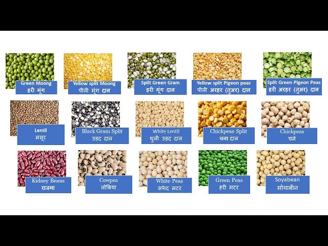 Pulses (दालें) ll Pulses Name In English And Hindi ll दालों के नाम हिंदी और अंग्रेज़ी भाषा में ll