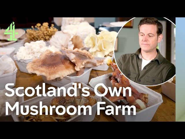 Matt Explores Scotland's Manmade Wonders | Matt Baker's British Isles