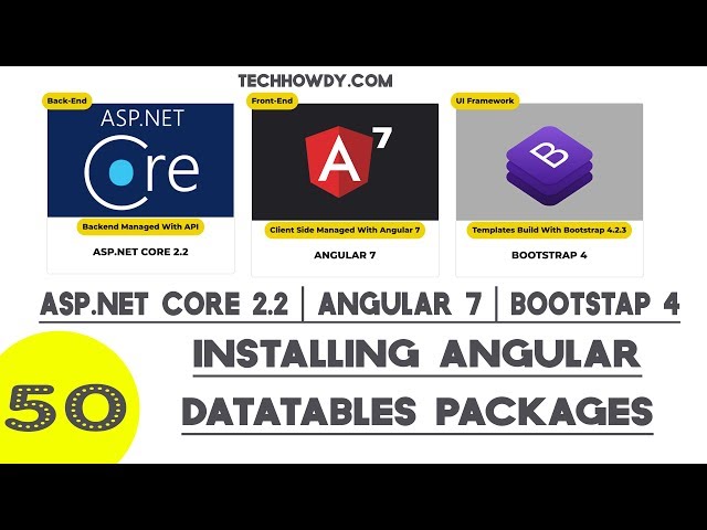 Angular 7 | Installing Angular DataTables Packages