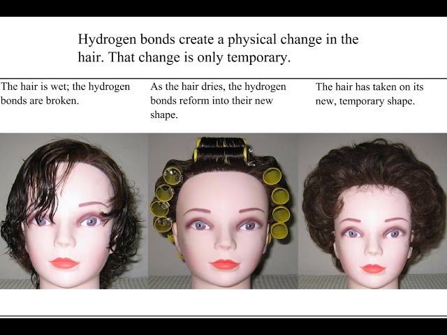 COS2520 Chemical Hair Bonds The Hydrogen Bond