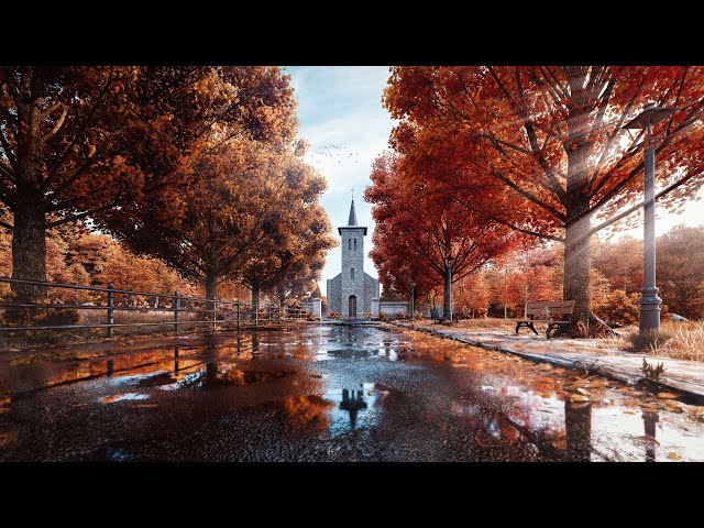 Autumn mood 🍂