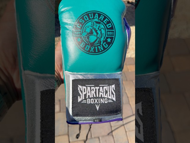 Spartacus Boxing Custom Old School Boxing Gloves