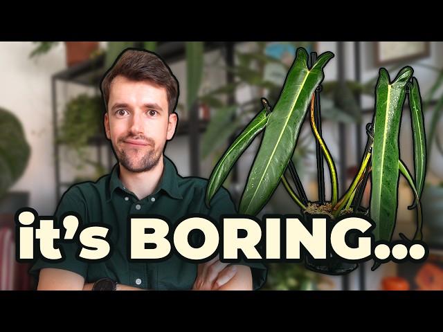 Let's be Honest... These Plants are NOT Worth It