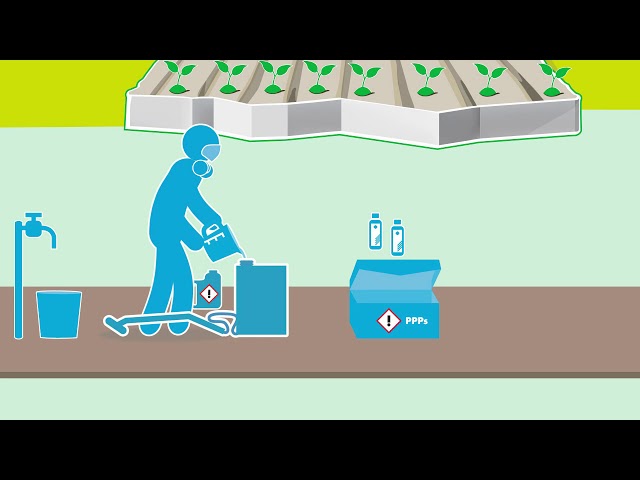 Plant Protection Products: Selection and Application