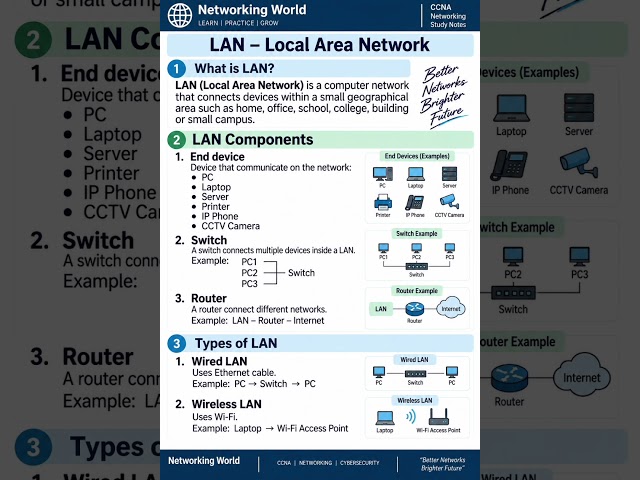 What is LAN? | LAN Components & Types | CCNA Networking