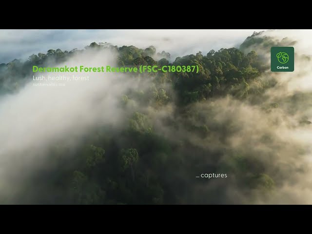 Deramakot Forest Reserve, Sabah   FSC certified FSC C180387