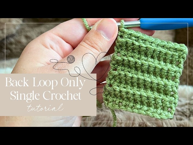 How to Crochet Back Loop Only Single Crochet (BLO sc) for Beginners